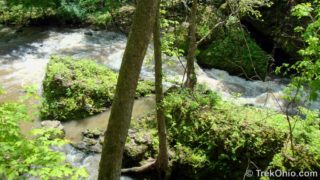 Clifton Gorge State Nature Preserve TrekOhio