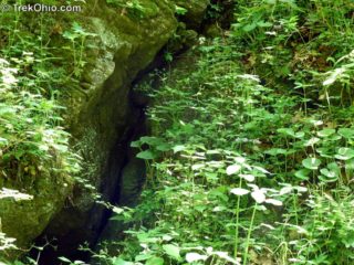 Clifton Gorge State Nature Preserve TrekOhio