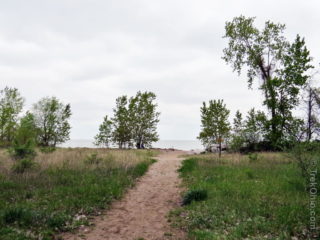 Magee Marsh Wildlife Area | TrekOhio