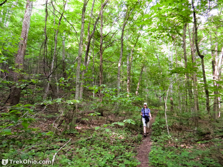 Edge of Appalachia: Charles A. Eulett Wilderness Preserve Trail | TrekOhio