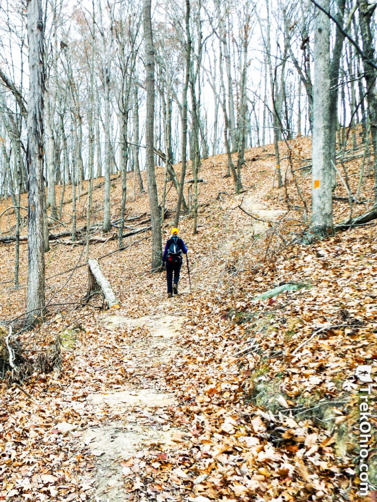 Zaleski State Forest The Backpack Trail from Hope Schoolhouse TrekOhio