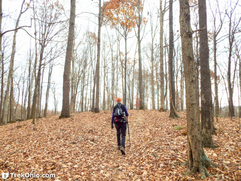 Zaleski State Forest The Backpack Trail from Hope Schoolhouse TrekOhio