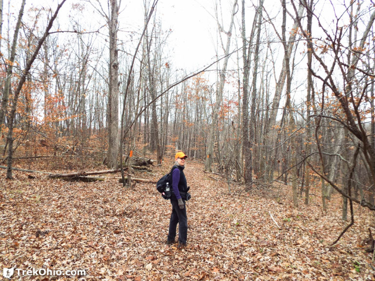 Zaleski State Forest The Backpack Trail from Hope Schoolhouse TrekOhio