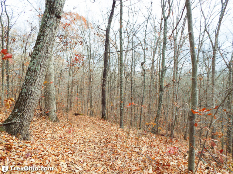 Zaleski State Forest The Backpack Trail from Hope Schoolhouse TrekOhio