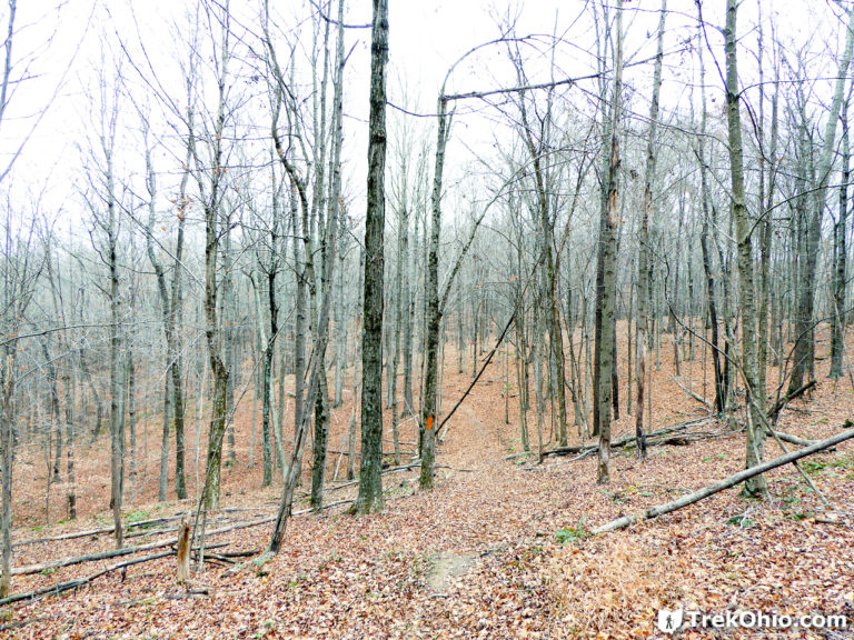 Zaleski State Forest The Backpack Trail from Hope Schoolhouse TrekOhio