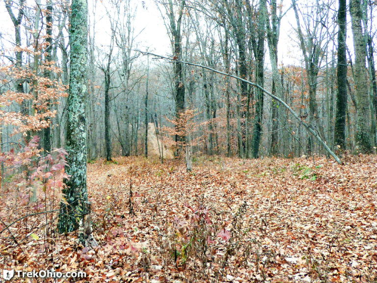 Zaleski State Forest The Backpack Trail from Hope Schoolhouse TrekOhio