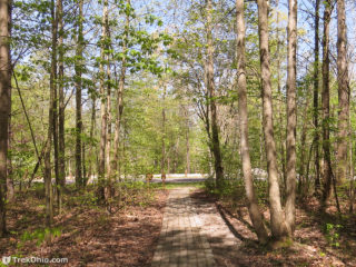 Goll Woods State Nature Preserve | TrekOhio