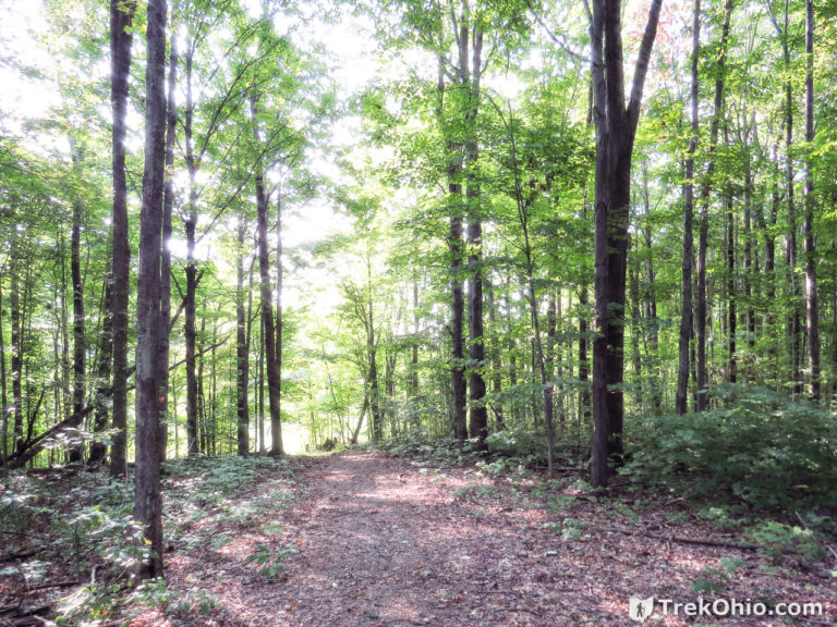 Geneva State Park | TrekOhio