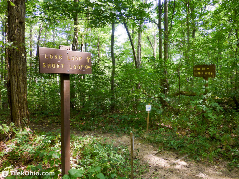 Wayne National Forest (Athens Unit): Wildcat Hollow | TrekOhio