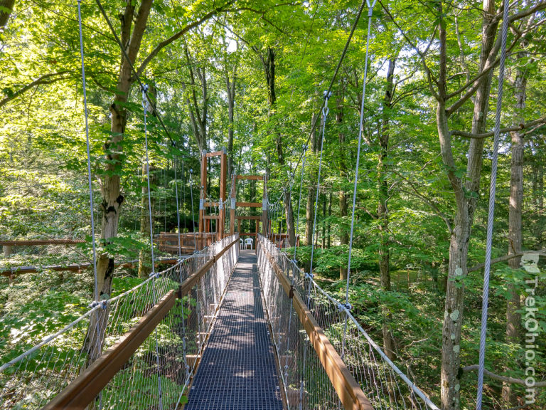 canopy tour holden arboretum