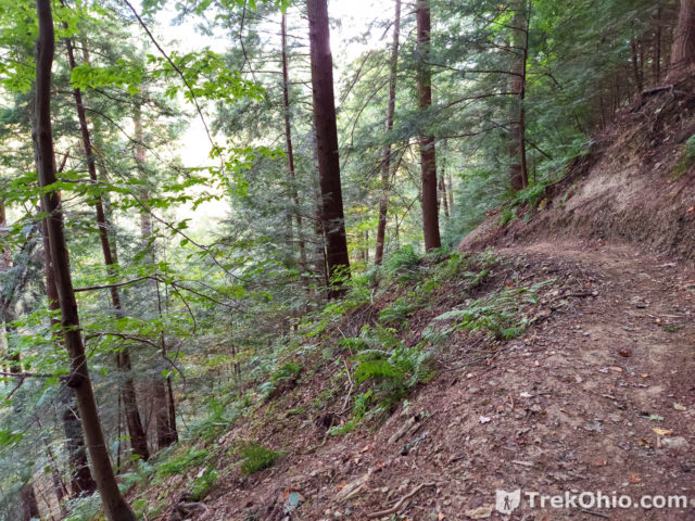 Mohican State Park: Gorge Overlook Trail and Swinging Bridge