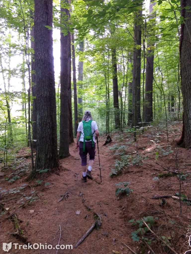 State Park Cabins Reopen - A Stay at Lake Hope State Park