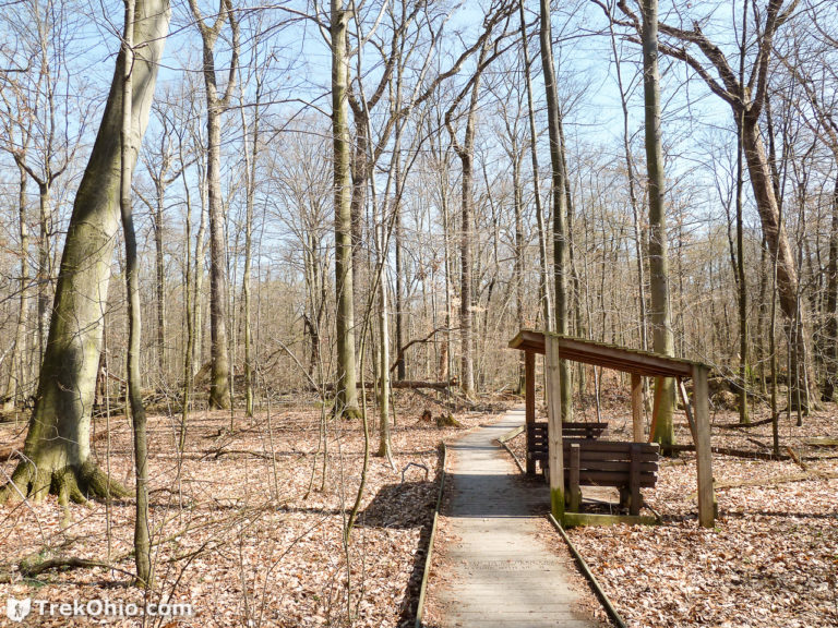 Johnson Woods State Nature Preserve TrekOhio